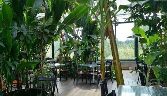 Glass House Winery