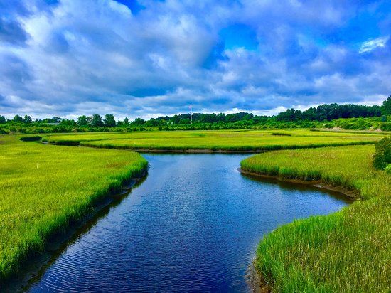 Paradise Creek