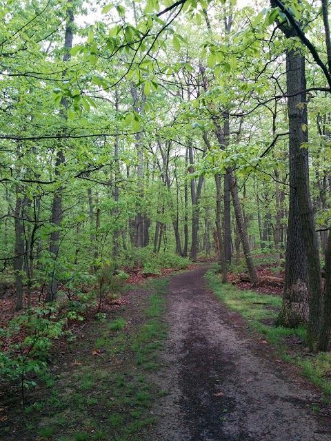Mason District Park