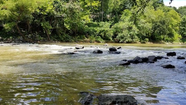 Darden Towe Park