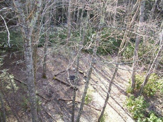 Appalachian Trail