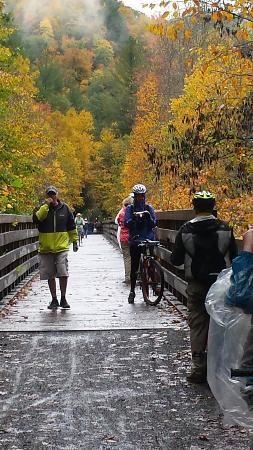 Creeper Trail Bike Rental