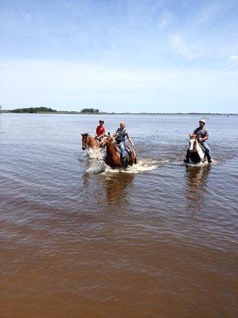 Easy Does It Ranch and Riding Academy