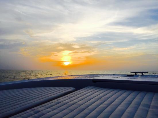 Cape Charles Boat Tour Company