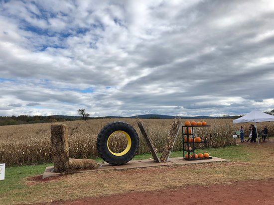 Liberty Mills Farm