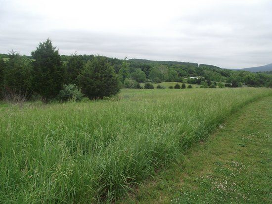 Fisher's Hill