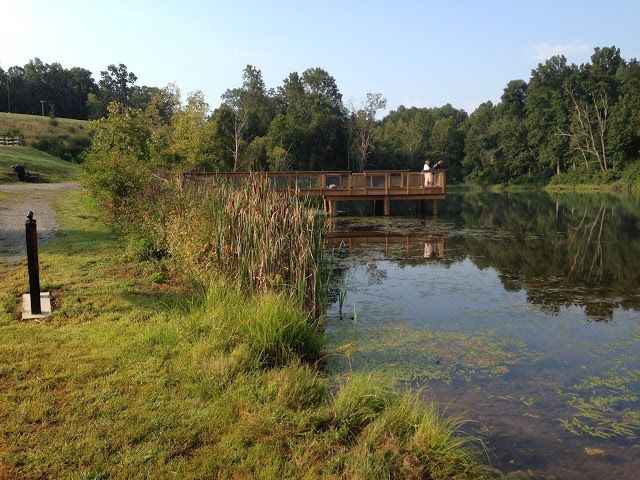 Ivy Creek Park