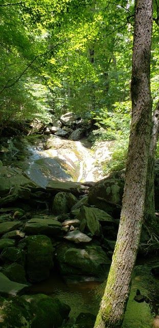 Upper Shamokin Falls Trail