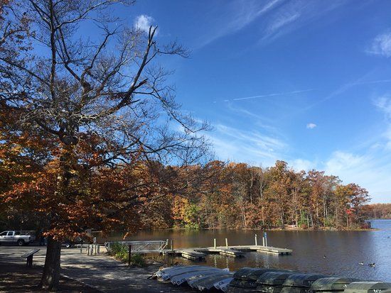 Burke Lake Park