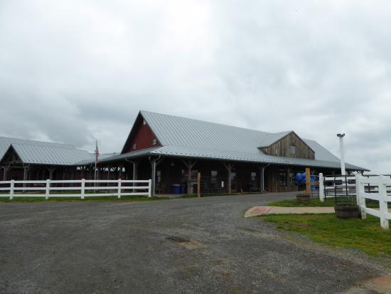 Temple Hall Farm Regional Park