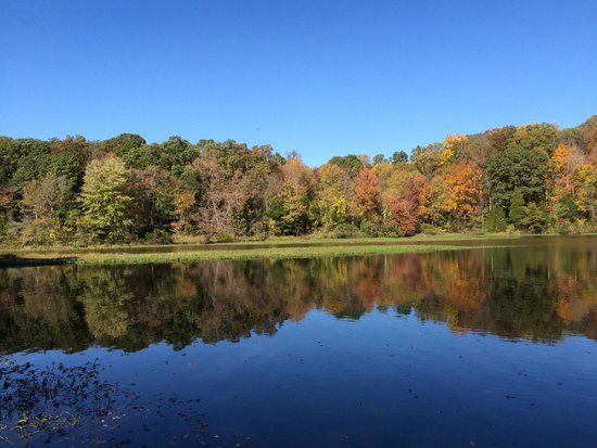 Lake Fairfax Park