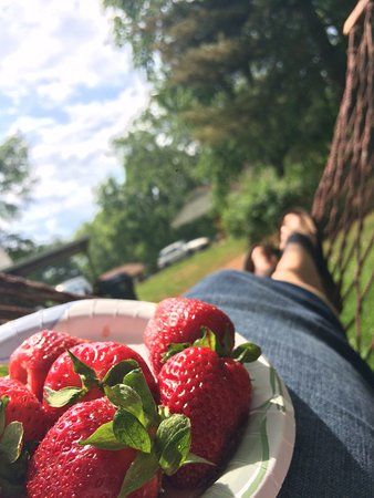 Seaman's Orchard