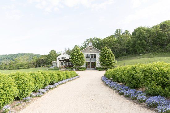 Pippin Hill Farm & Vineyards